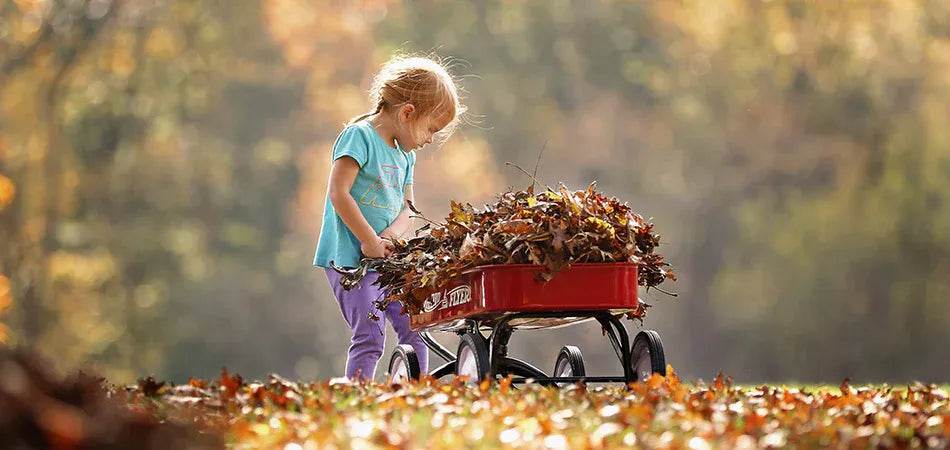 little girl pulling red flyer with leaves in the fall season
