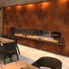 EcoSmart Fire Flex Double Sided Bioethanol Fireplace Insert