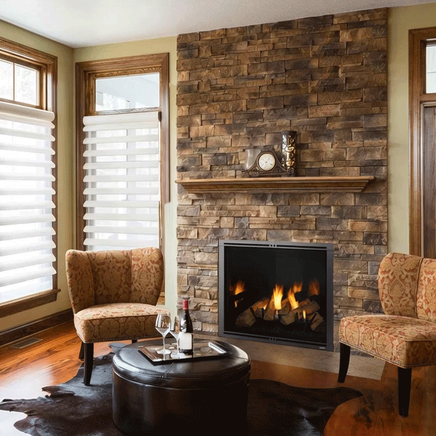 Marquis II Direct Vent Gas Fireplace