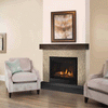 Quartz Direct Vent Gas Fireplace