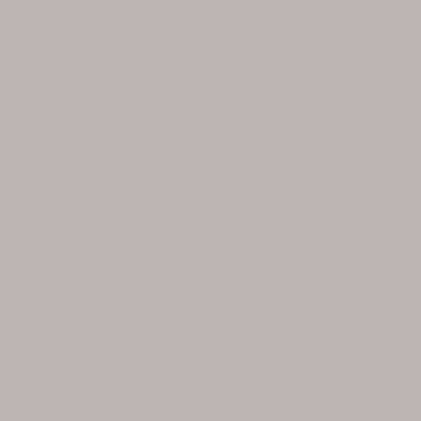 swatch:Pewter