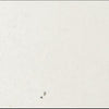 Variant:White Aspen
