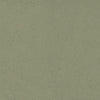 swatch:Ash