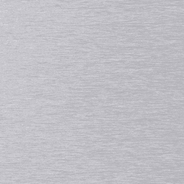swatch:Stainless Steel