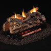 Vent-Free See-Thru Golden Oak Designer Gas Logs 24" by Real Fyre