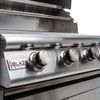 25" 3-Burner Built-In Grill - Starfire Direct