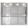 42" Blaze Vent Hood - Starfire Direct