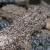 Vent-Free Gas Logs Charred Frontier Oak by Real Fyre