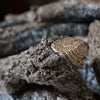 Vent-Free Gas Logs Charred Frontier Oak by Real Fyre