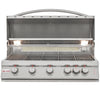 Blaze 5 Burner LTE Grill with Built-In Lights