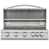 Blaze 5 Burner LTE Grill with Built-In Lights
