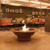 EcoSmart Fire AB Bioethanol Burner