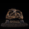 Vent-Free Gas Logs Evening Fyre Split by Real Fyre