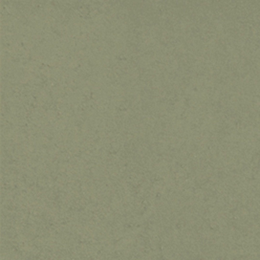 swatch:Ash
