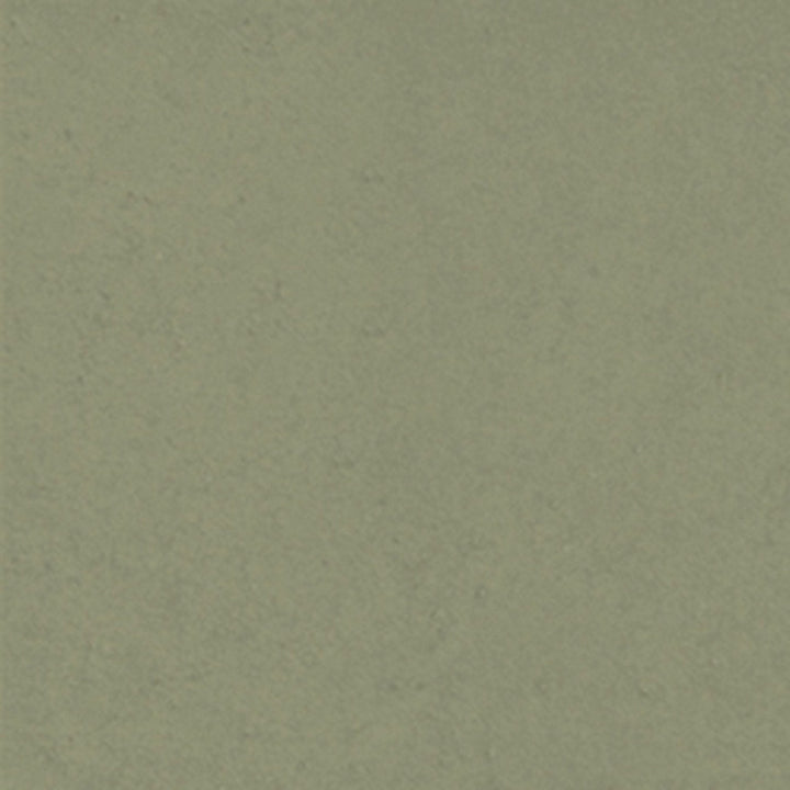 swatch:Ash